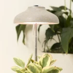 Instant Sun Houseplant Grow Lamp 3