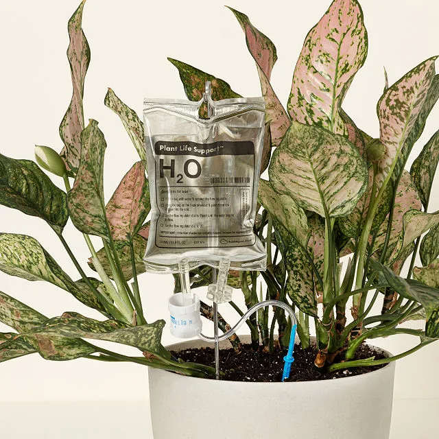 Plant Life Support Self-waterer