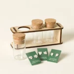 Plant Lover Earring Set & Propagation Station 3