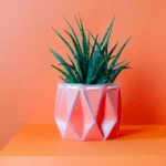 Pop Up Origami Self-watering Pot 2