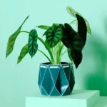 Pop Up Origami Self-watering Pot 3