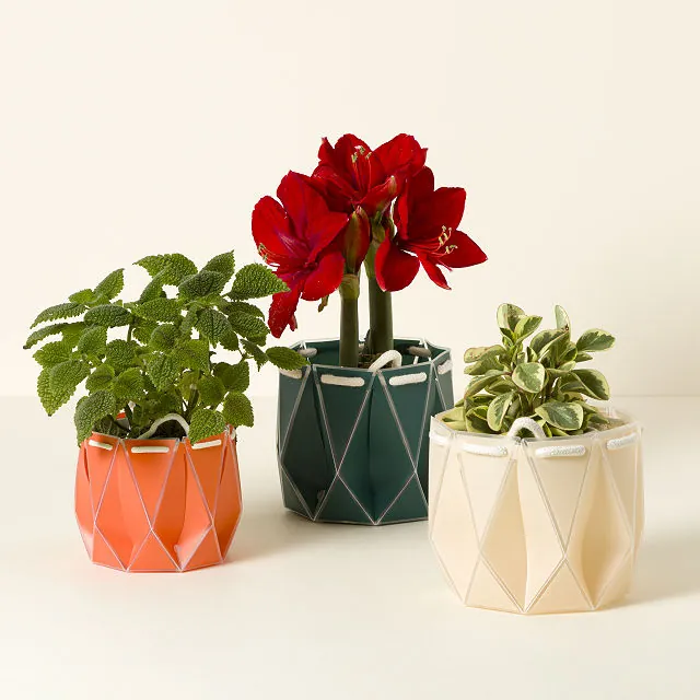 Pop Up Origami Self-watering Pot