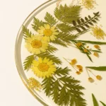 Pressed Birth Month Flower Art 1