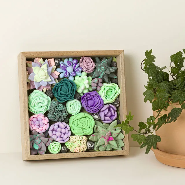 Sculpt Your Own Succulent Art