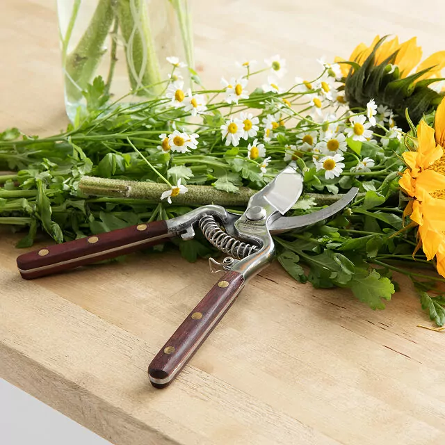 Thai Kitchen Garden Shears