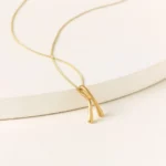 Wishbone Necklace 1