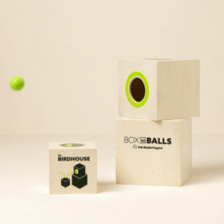 61195_boxballstrickshotset
