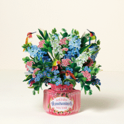 61206_hummingbirdoasispopupgreetingcard