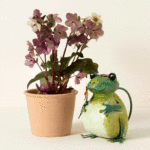 61213_fredthefrogwateringcan