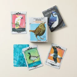 Avian Allies Oracle Deck & Guide