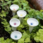 Ceramic Bee Drinking Cup - Set Of 5 1