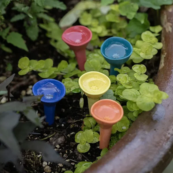 Ceramic Bee Drinking Cup - Set Of 5
