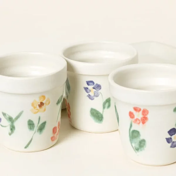 Ceramic Windowsill Herb Garden 2