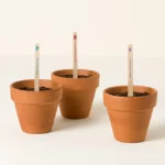 Pollinator Seed Pops (set Of 3) 2