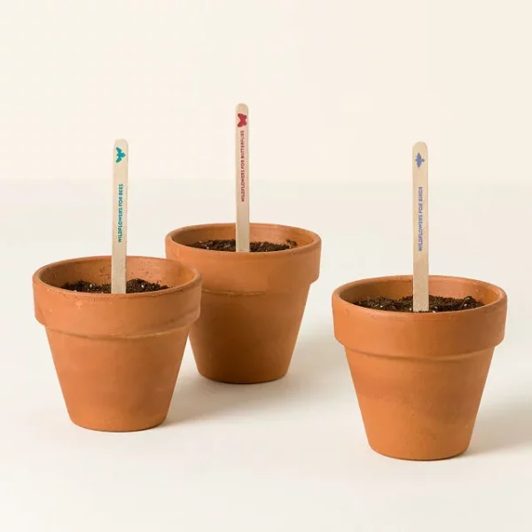 Pollinator Seed Pops (set Of 3) 2