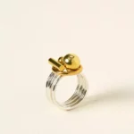 Puzzle Stacking Rings 2