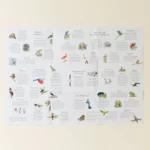 Around The World In 50 Birds Jigsaw Puzzle 3