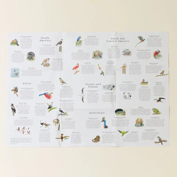 Around The World In 50 Birds Jigsaw Puzzle 3