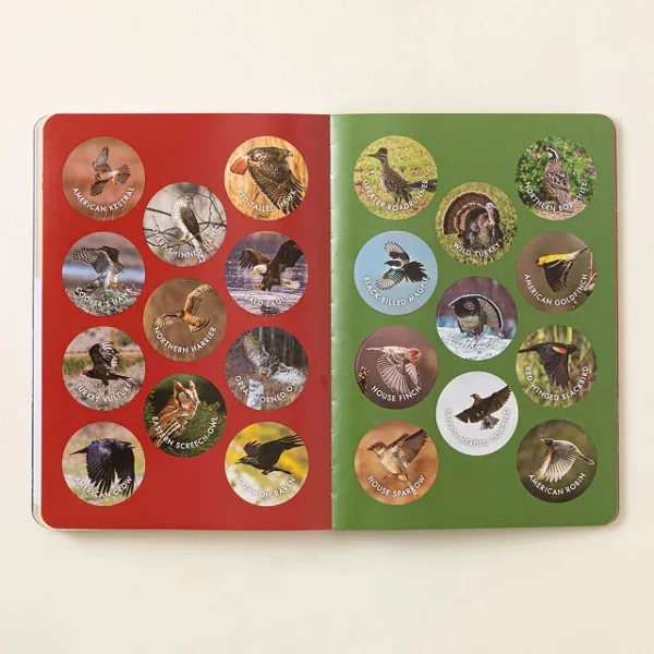 Bird Watchers' Field Guide Of North America 3