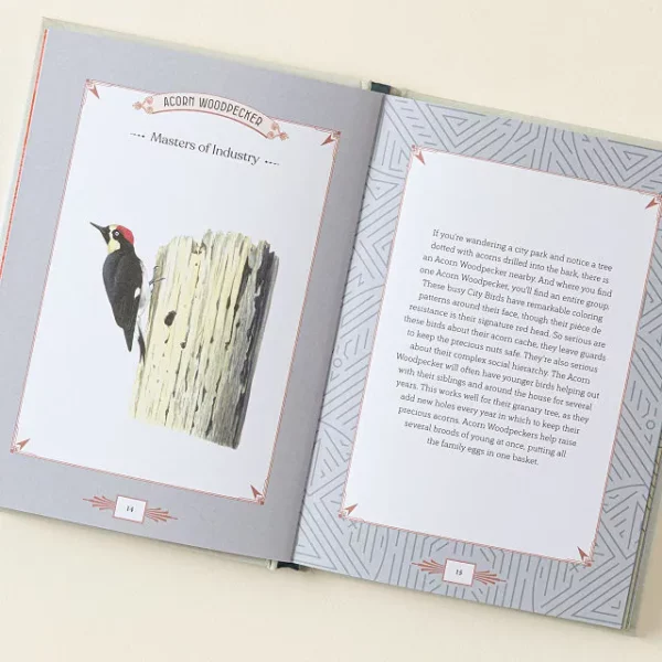 City Bird Metro Bird Guide 1