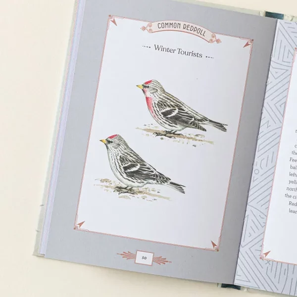 City Bird Metro Bird Guide 3