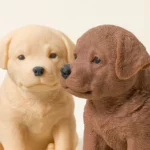 Handmade Labrador Lover’s Soap 1