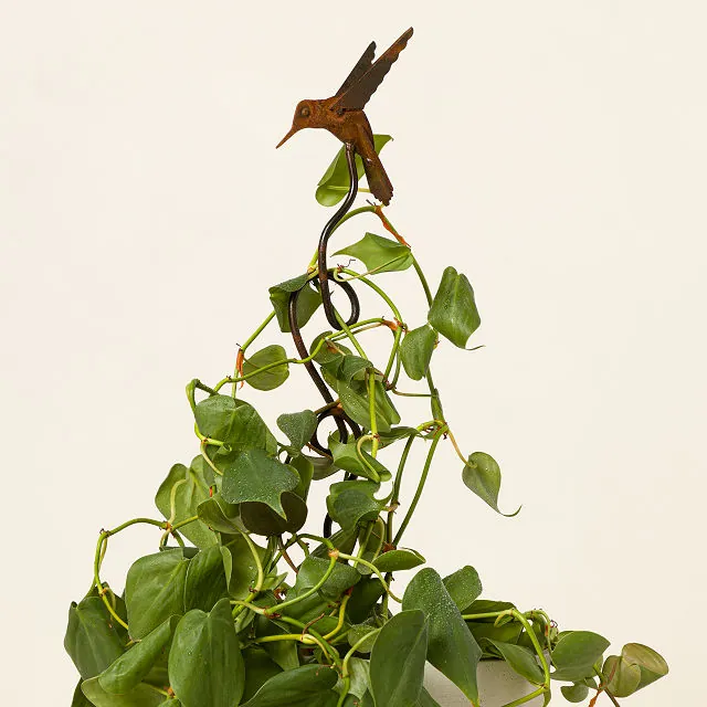 Robert Kline Art Handmade Gift Ideas 5 Hummingbird Climbing Stake
