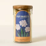 Paperwhite Winter Bulb Kit 1