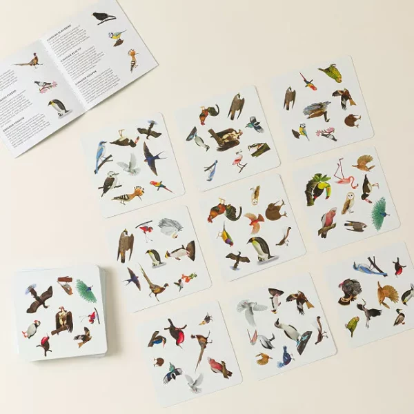 Race To Spot The Birds Family Card Game 1