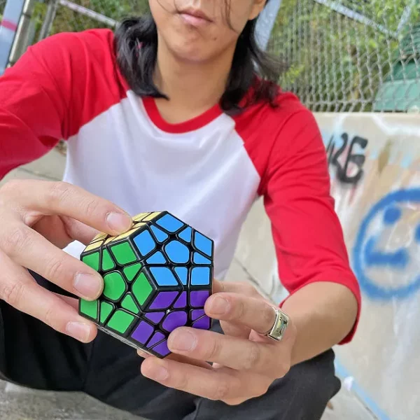 Twist & Solve Dodecahedron Puzzle 2