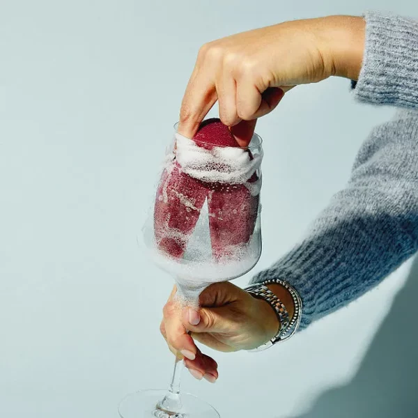 Wine Glass Sponge 1