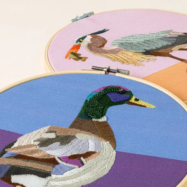Beginners Bird Embroidery By Numbers Kit 2
