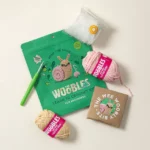 Crochet Pals Beginner Diy Kit 1