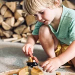 Wild Pines Sustainable Forestry Train Set 3