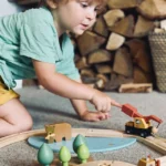 Wild Pines Sustainable Forestry Train Set 4