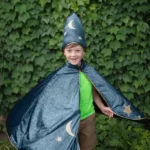 Wizard, Knight, Or Dragon Dress Up 4