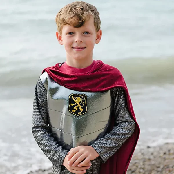 Wizard, Knight, Or Dragon Dress Up 7