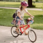 2-in-1 Handlebar & Crossbody Bag 1