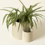 After Glow Candle And Planter 1