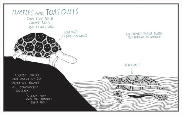 Amazing Animal Facts Postcards 3