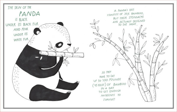 Amazing Animal Facts Postcards 4