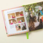 Crafting For Your Cat 2