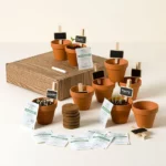 Edible Garden Grow Kit