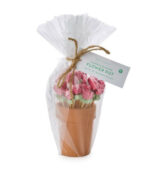 Garden Blooms Flower Pot With Picks 1