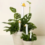 Garden Goose Plant Stakes 1