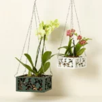 Hanging Orchid Planter