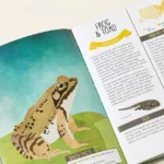 Kid's Backyard Guides 4