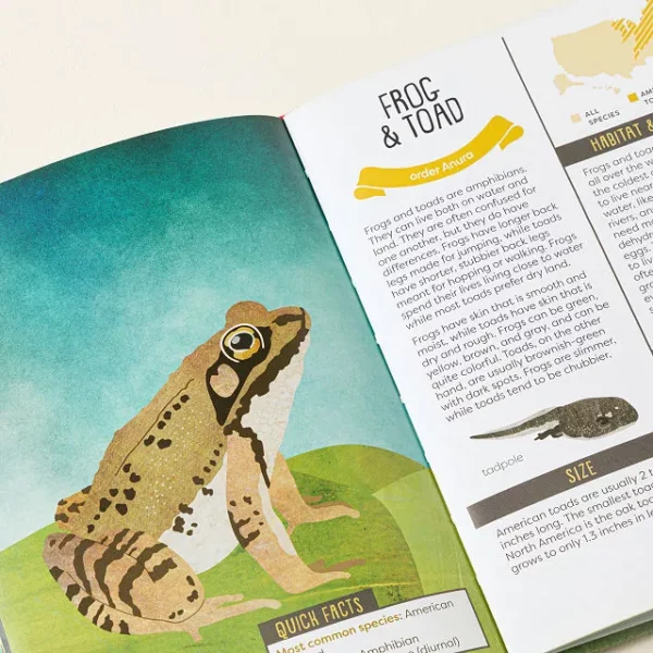 Kid's Backyard Guides 4