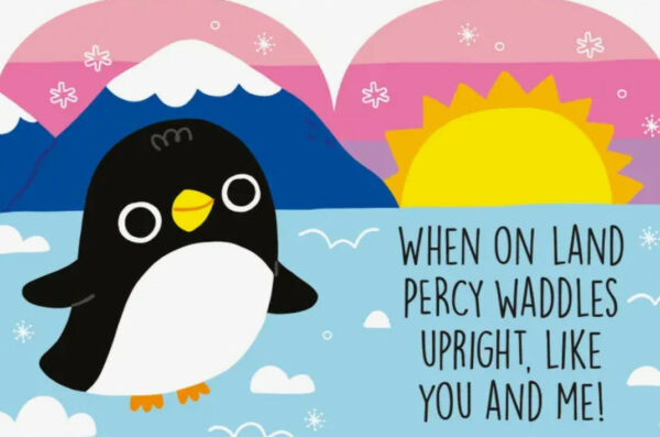 Meet The Arctic Animals Board Books, Set Of 3 3