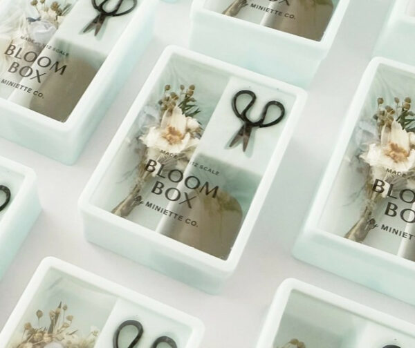 Miniature Blue Wildflower Bloom Box 3